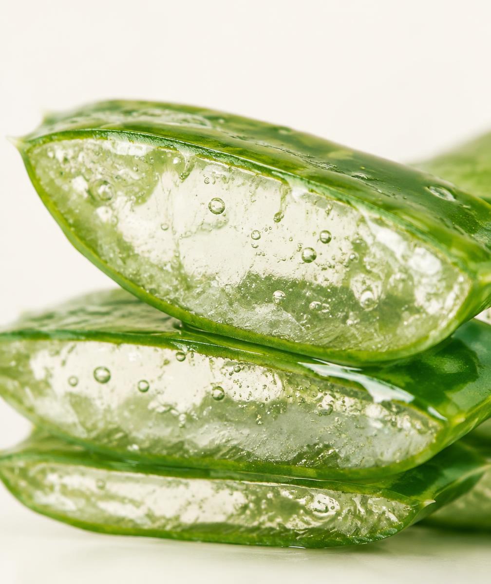 Nærbillede af saftige aloe-skiver med vandbobler